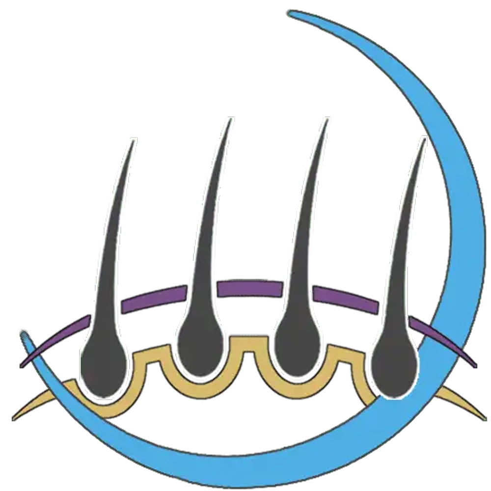 Skincare 365 Logo